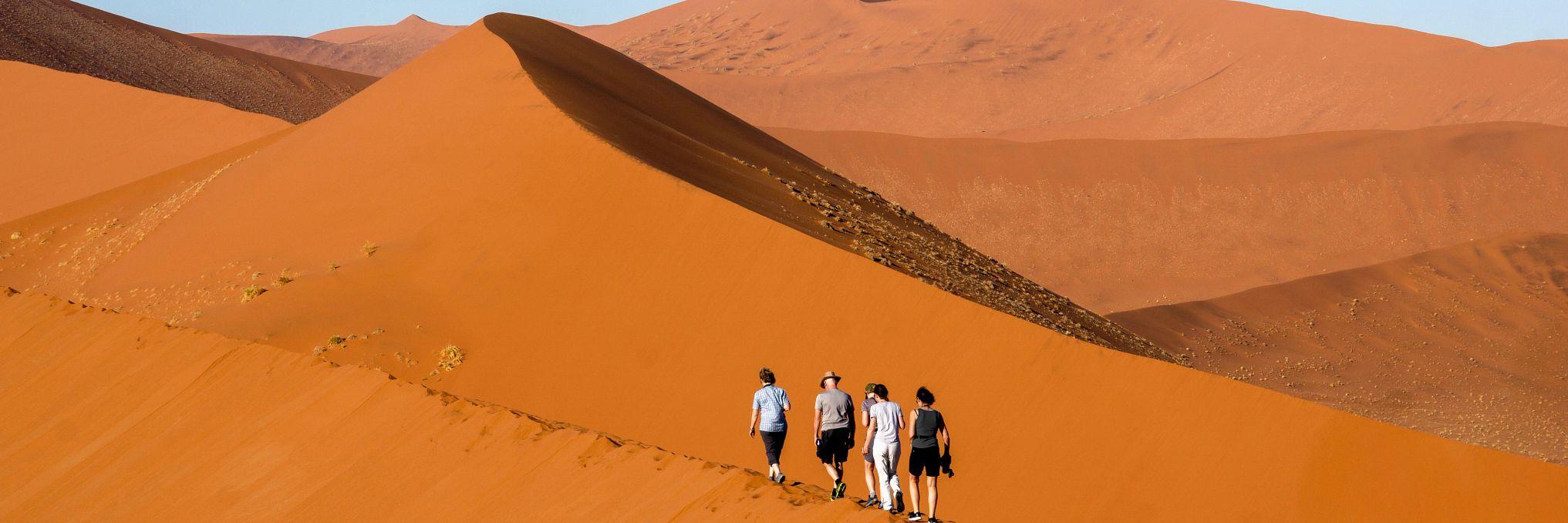 Epic Adventures Await in Namibia & South Africa